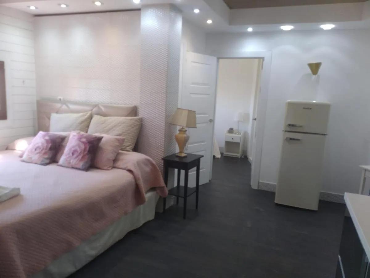 The Loft Rural In Malaga Apartment